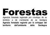 06-Forestas